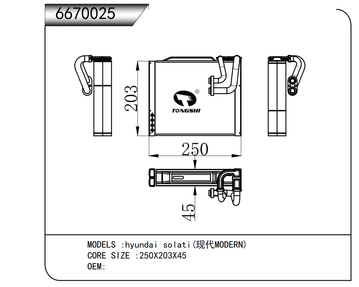 6670025.jpg