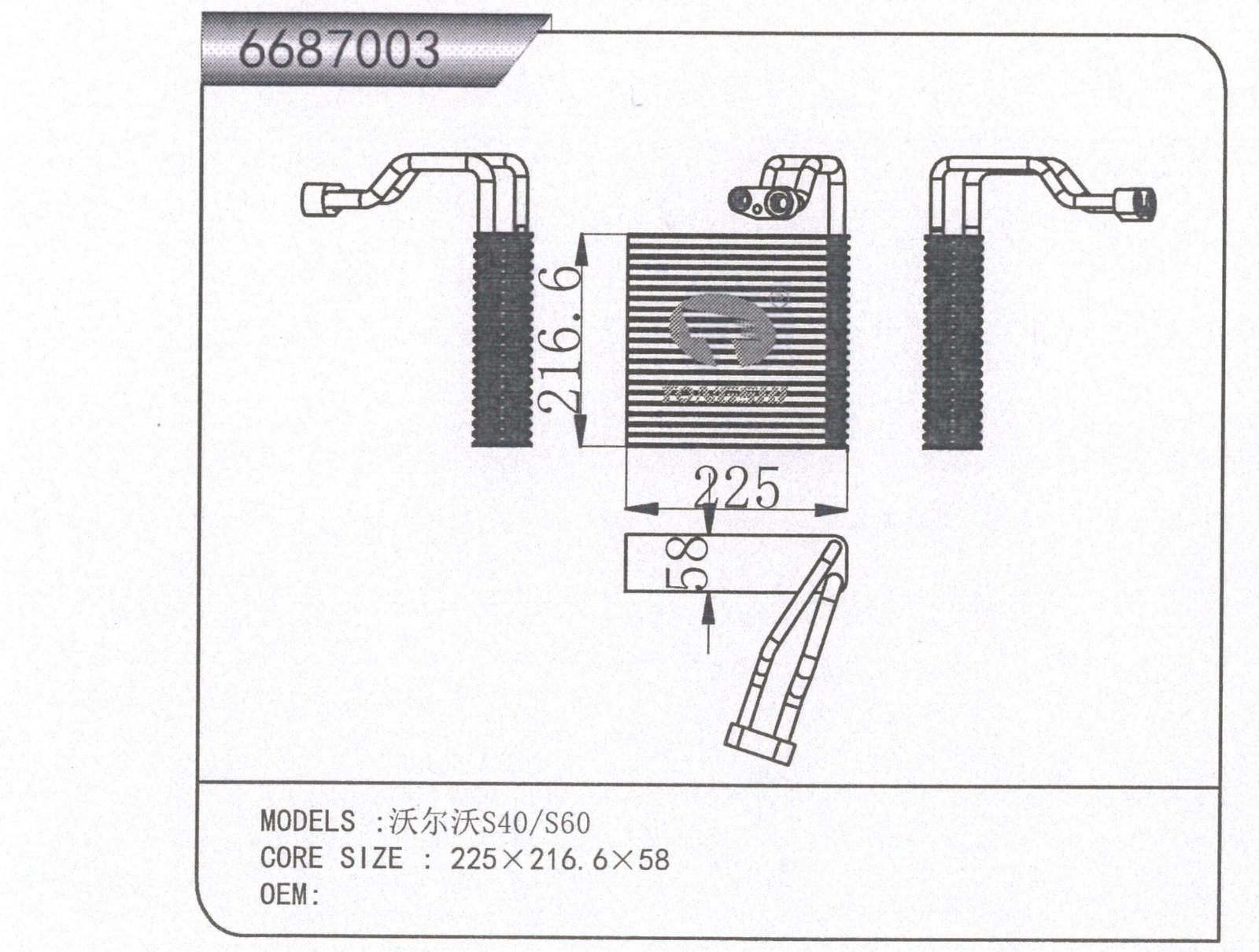 6687003.jpg