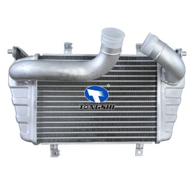 適用于INTERCOOLER PROTON EXOPA BOLD CFE